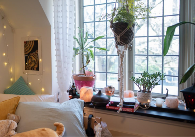 一间有仙女灯和挂在窗前的植物的房间